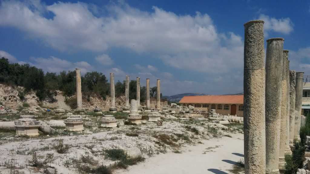 Cisjordanie occupée: «Israël» prépare le plus vaste nettoyage archéologique jamais entrepris