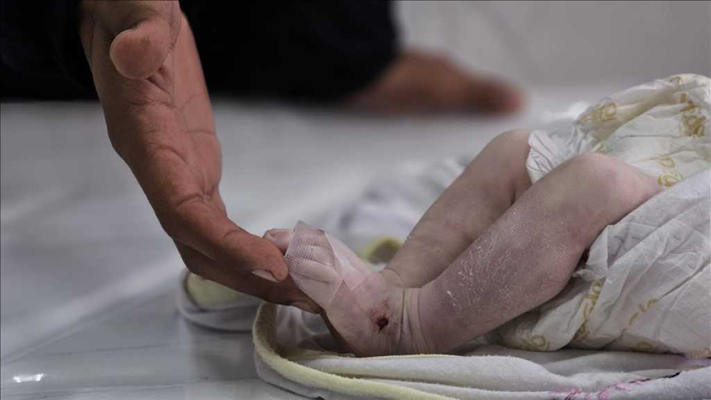 Gaza: Un autre bébé meurt de froid au milieu d’une grave pénurie d’abris