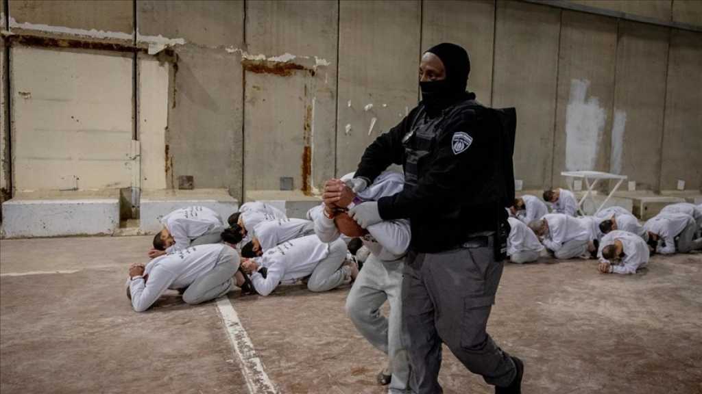 Palestine occupée: 87 prisonniers tués dans les prisons «israéliennes» depuis octobre 2023
