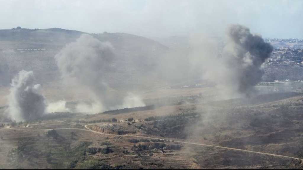 Liban-Sud: Des avions «israéliens» auraient pulvérisé des matières toxiques