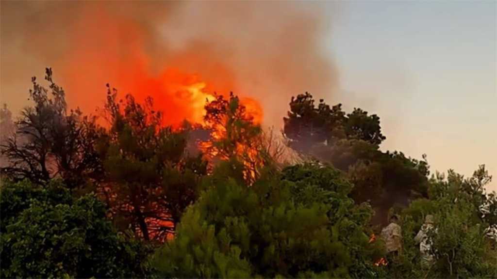 Liban- Sud: «Israël» incendie plus de 120 hectares d’oliveraies