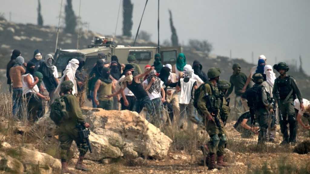 Cisjordanie occupée : Les attaques des colons «israéliens» ont bondi de 63 % au premier semestre 2026