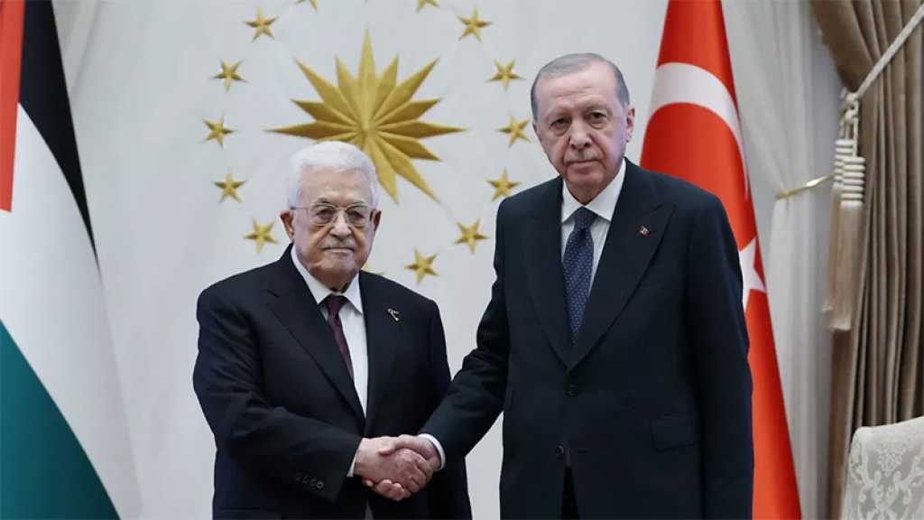 Turquie: «Israël» cherche à «rayer la Palestine de l’ordre du jour de l’humanité», dit Erdogan