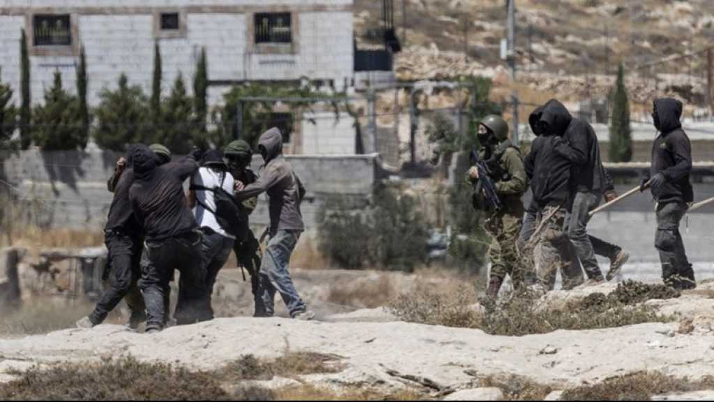 Cisjordanie occupée : Des journalistes de l’AFP et des militants agressés par des colons «israéliens»