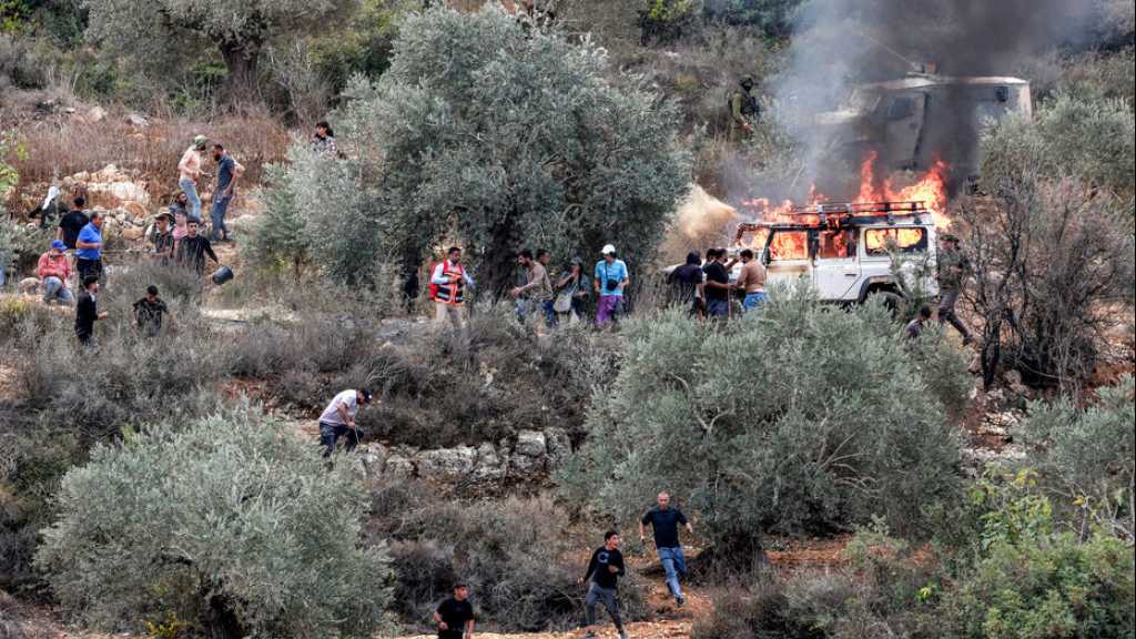 Cisjordanie occupée: Quatre oléiculteurs blessés dans une attaque de colons «israéliens»