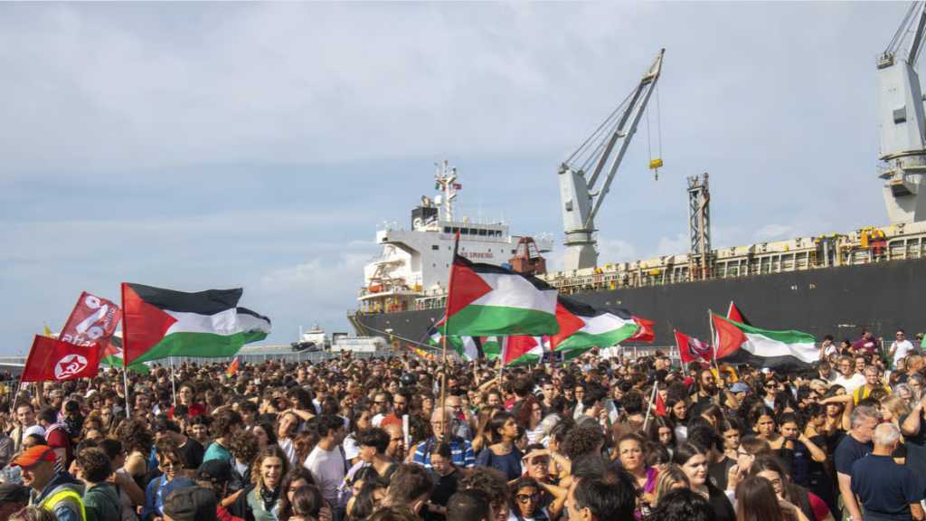Grève internationale dans 111 ports de 22 pays en solidarité avec le peuple palestinien
