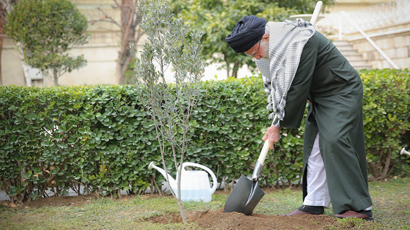 Le «bel arbre»: La passion de la nature et la vision verte de l’imam Khamenei