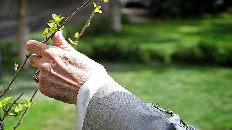 Le «bel arbre»: La passion de la nature et la vision verte de l’imam Khamenei