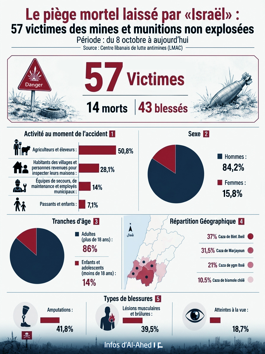 Le piège mortel laissé par «Israël»: 57 victimes des mines et munitions non explosées au Liban-Sud